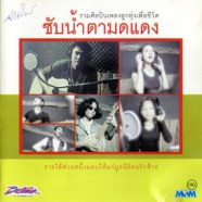 รวมศิลปินเพลงลูกทุ่งเพื่อชีวิต - ซับน้ำตามดแดง-web